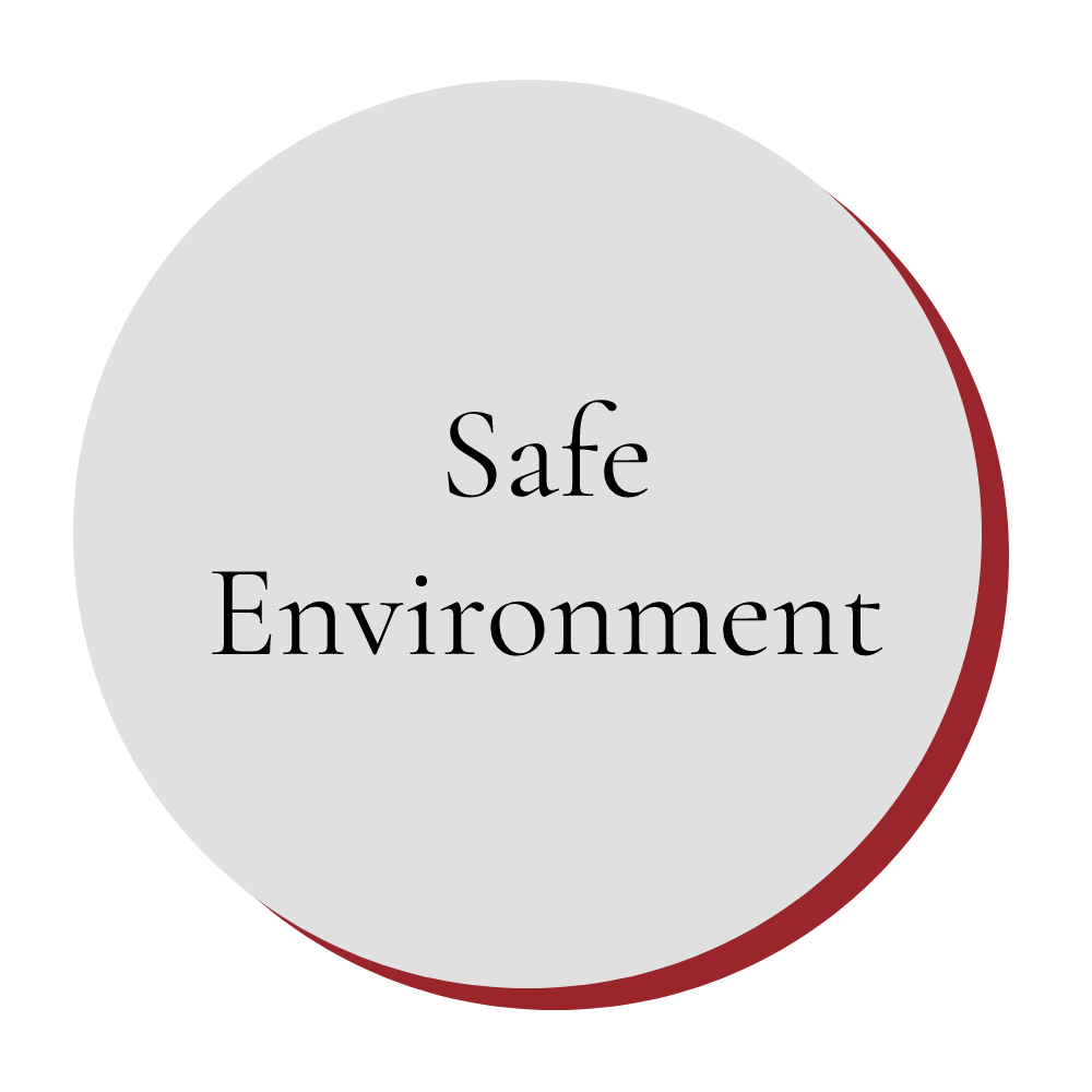 Safe Environment Logo